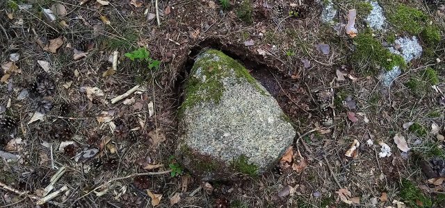 A rock in its original location in Waldviertel, covered with moss.